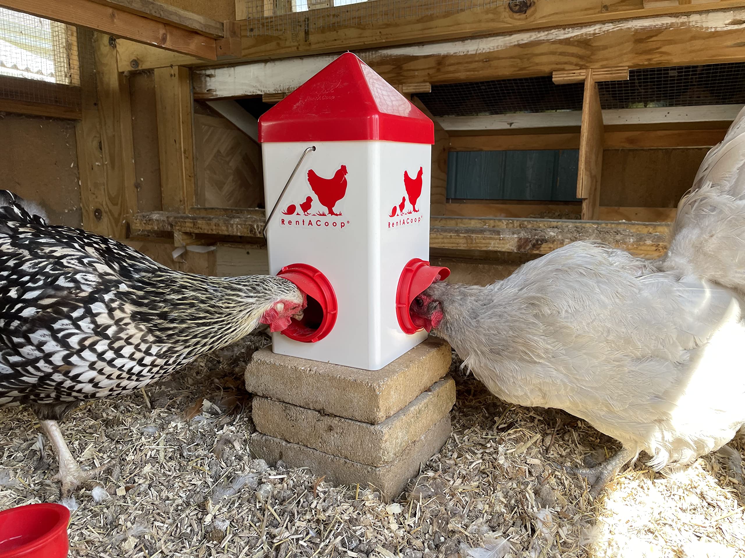 RentACoop Chick2Chicken 5lb 2-Port Feeder - Includes Anti-Roost Lid and Slider Port Covers - Suitable for Quail, Pigeons, Doves, Chicks, and Adult Chickens