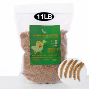 11 lbs non-gmo dried mealworms for wild bird chicken fish,high-protein,large meal worms.