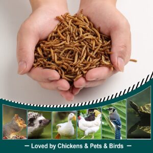 11 lbs Non-GMO Dried Mealworms for Wild Bird Chicken Fish,High-Protein,Large Meal Worms.