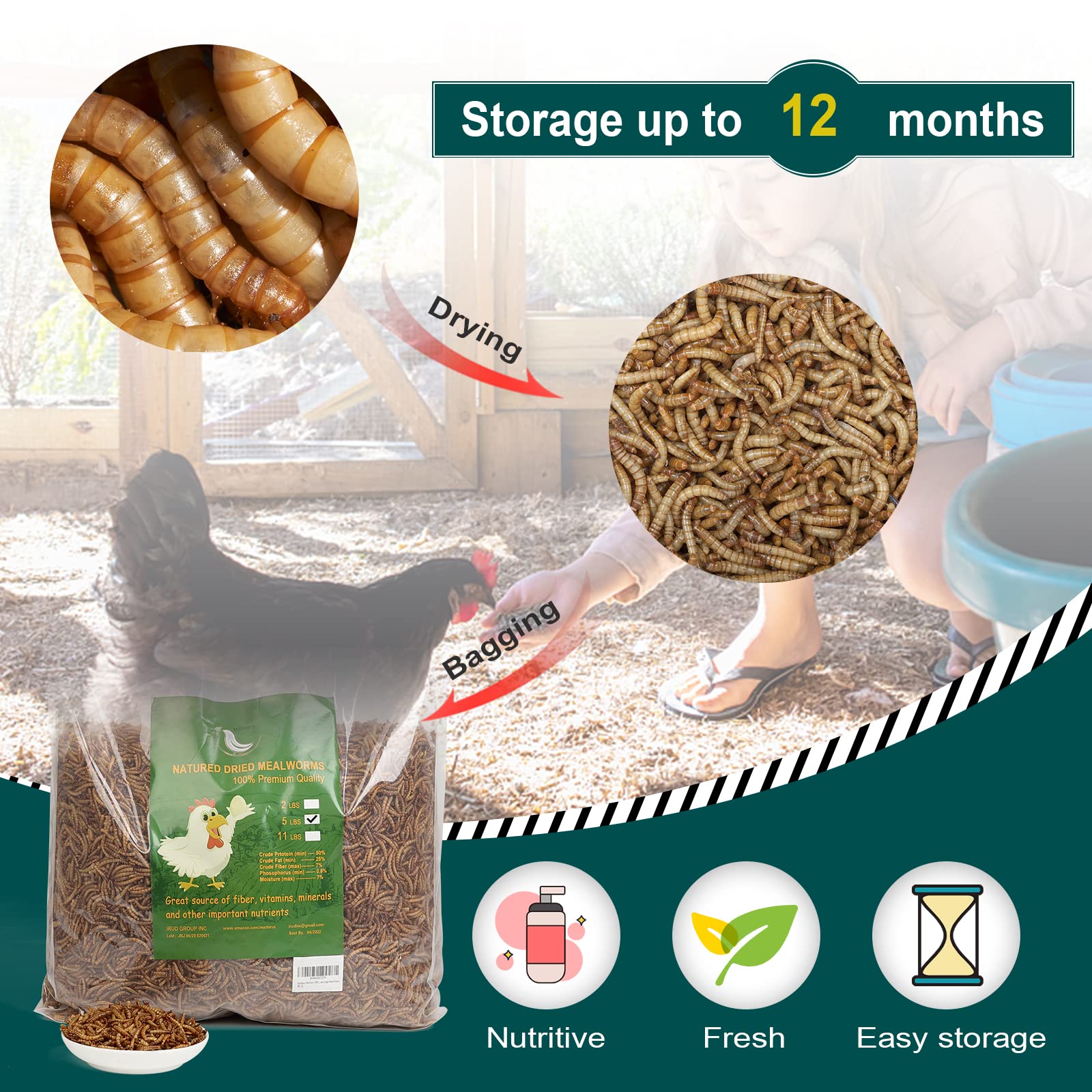 11 lbs Non-GMO Dried Mealworms for Wild Bird Chicken Fish,High-Protein,Large Meal Worms.