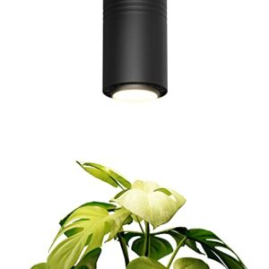 Aspect Large Black Luxury LED Grow Light – for Medium and Large Plants New Large