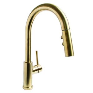 speakman sb-1042-brb kitchen-sink-faucets, aged brass