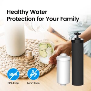 Filterlogic NSF/ANSI 372 Certified Water Filter, Replacement for Berkey® Black Filters (BB9-2) & Fluoride Filters (PF-2®) Combo Pack and Berkey®Gravity Filter System