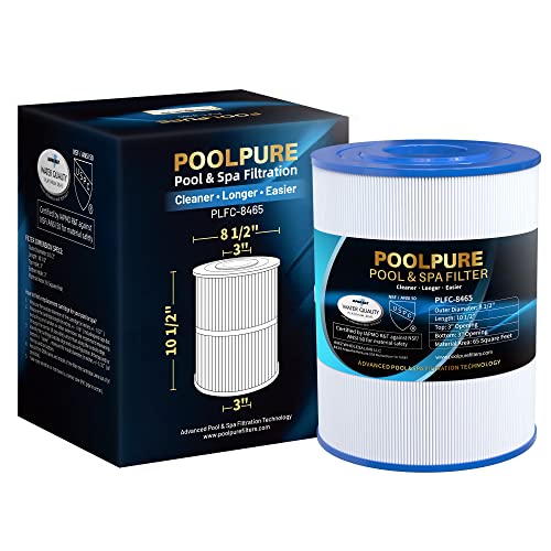 POOLPURE C-8465 Spa Filter Replaces Watkins 31114, Pleatco PWK65, Filbur FC-3960, 71827, 71828, Watkins 65 sq.ft Tiger River Spa Filter 1 Pack