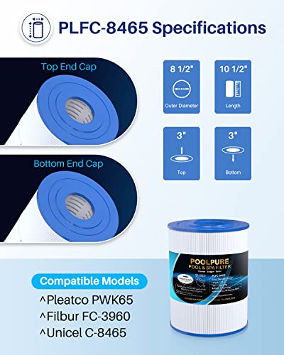 POOLPURE C-8465 Spa Filter Replaces Watkins 31114, Pleatco PWK65, Filbur FC-3960, 71827, 71828, Watkins 65 sq.ft Tiger River Spa Filter 1 Pack