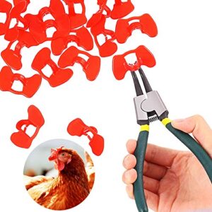 boao 61 pieces pinless peepers for chicken peepers pheasant poultry blinders spectacles anti pecking eyeglasses tool for pet middle