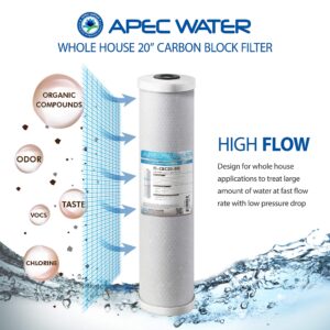 APEC Water Systems 20" Whole House High Flow Carbon Block Replacement Water Filter (FI-CBC20-BB)