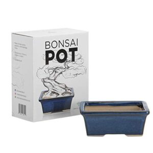 glazed ceramic bonsai pot - decorative planter for dwarf trees, succulents, small plants - blue rectangular container perfect for indoor and outdoor gardens, table centerpieces and windowsill décor