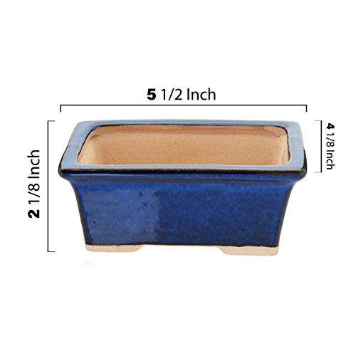 Glazed Ceramic Bonsai Pot - Decorative Planter for Dwarf Trees, Succulents, Small Plants - Blue Rectangular Container Perfect for Indoor and Outdoor Gardens, Table Centerpieces and Windowsill Décor