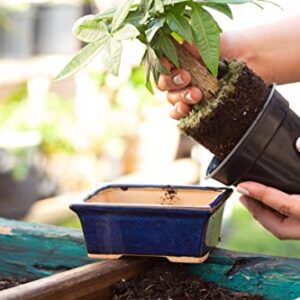 Glazed Ceramic Bonsai Pot - Decorative Planter for Dwarf Trees, Succulents, Small Plants - Blue Rectangular Container Perfect for Indoor and Outdoor Gardens, Table Centerpieces and Windowsill Décor