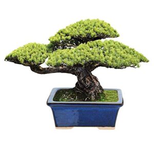 Glazed Ceramic Bonsai Pot - Decorative Planter for Dwarf Trees, Succulents, Small Plants - Blue Rectangular Container Perfect for Indoor and Outdoor Gardens, Table Centerpieces and Windowsill Décor