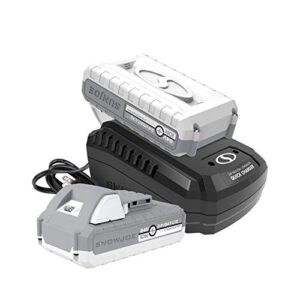 Snow Joe 24V-2AMP-SK2 Includes 2 x 2.0-Ah Lithium iON Battery + Single Port Rapid Charger, (2) 2.0, White