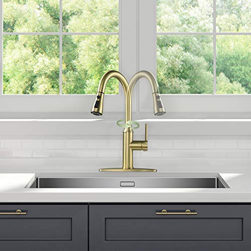 Gold Kitchen Faucet with Sprayer,Single Handle Kitchen Sink Faucet with Pull Out Sprayer, Champagne Bronze,Arofa