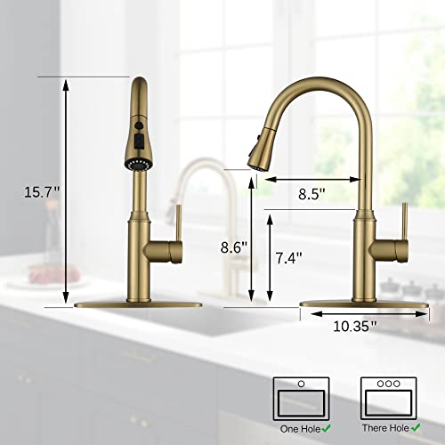 Gold Kitchen Faucet with Sprayer,Single Handle Kitchen Sink Faucet with Pull Out Sprayer, Champagne Bronze,Arofa