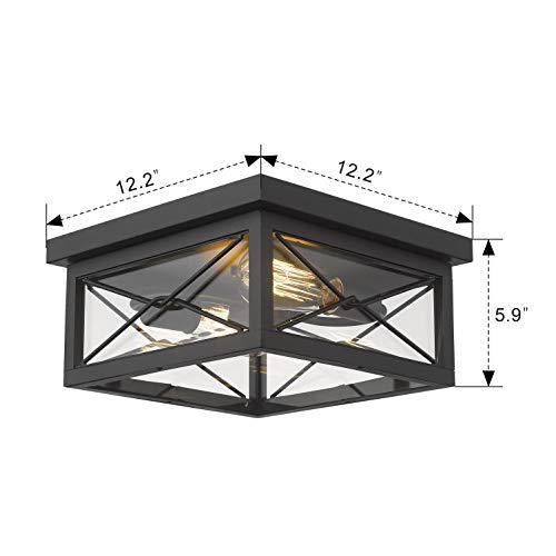 Emliviar 12 Inch Ceiling Light Fixture, 2-Light Flush Mount Ceiling Light in Black Finish, 0387B-CL BK