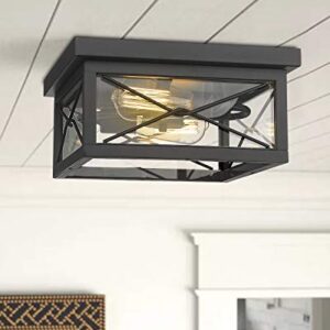 Emliviar 12 Inch Ceiling Light Fixture, 2-Light Flush Mount Ceiling Light in Black Finish, 0387B-CL BK