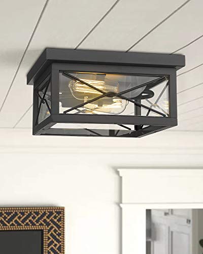 Emliviar 12 Inch Ceiling Light Fixture, 2-Light Flush Mount Ceiling Light in Black Finish, 0387B-CL BK