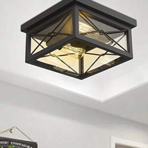 Emliviar 12 Inch Ceiling Light Fixture, 2-Light Flush Mount Ceiling Light in Black Finish, 0387B-CL BK