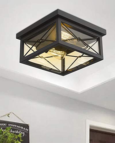 Emliviar 12 Inch Ceiling Light Fixture, 2-Light Flush Mount Ceiling Light in Black Finish, 0387B-CL BK