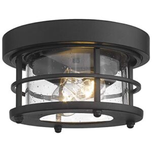 emliviar 2-light round ceiling light fixture, farmhouse flush mount ceiling light 10 inch, black finish, we2085f bk