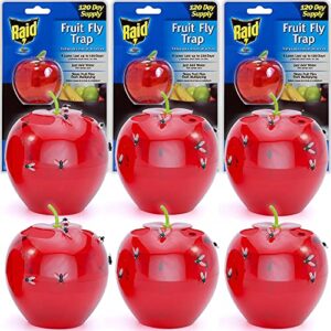 raid fruit fly trap bundle, set of 3 2-pack apple fruit fly catcher indoor trap, 360-day supply of fruit fly traps for kitchen & dining areas, reusable gnat traps w/food-based lure for fruit flies