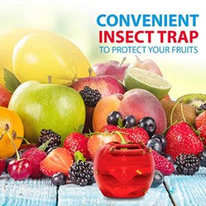 Raid Fruit Fly Trap Bundle, Set of 3 2-Pack Apple Fruit Fly Catcher Indoor Trap, 360-Day Supply of Fruit Fly Traps for Kitchen & Dining Areas, Reusable Gnat Traps w/Food-Based Lure for Fruit Flies