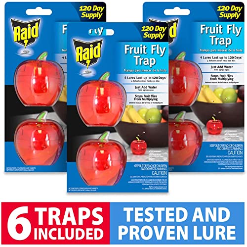 Raid Fruit Fly Trap Bundle, Set of 3 2-Pack Apple Fruit Fly Catcher Indoor Trap, 360-Day Supply of Fruit Fly Traps for Kitchen & Dining Areas, Reusable Gnat Traps w/Food-Based Lure for Fruit Flies