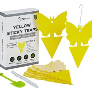 Yellow Sticky Fruit Fly Traps (30 Traps) - Fruit Fly Trap Indoor - Gnat Trap Indoor - Fungus Gnat Killer for Indoor Plants - Sticky Fruit Fly Traps For Kitchen Houseplant Insect Control Indoor/Outdoor