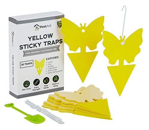 Yellow Sticky Fruit Fly Traps (30 Traps) - Fruit Fly Trap Indoor - Gnat Trap Indoor - Fungus Gnat Killer for Indoor Plants - Sticky Fruit Fly Traps For Kitchen Houseplant Insect Control Indoor/Outdoor