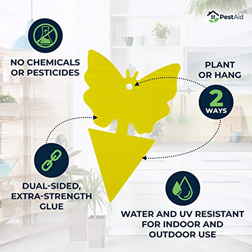 Yellow Sticky Fruit Fly Traps (30 Traps) - Fruit Fly Trap Indoor - Gnat Trap Indoor - Fungus Gnat Killer for Indoor Plants - Sticky Fruit Fly Traps For Kitchen Houseplant Insect Control Indoor/Outdoor