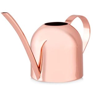 smouldr mini plant watering can indoor: rose gold small watering can helps you water tiny house plants, succulents, bonsai or herb gardens - steel plant waterer for miniature flower pots - 15 ounces