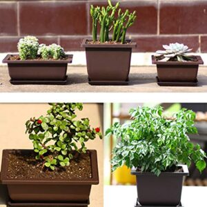 Yesland 6 Pack Bonsai Training Pots - 9 Inches Classic Deep Humidity Trays with Built in Mesh - Plastic Square Pot & Bonsai Plants Growing Pots