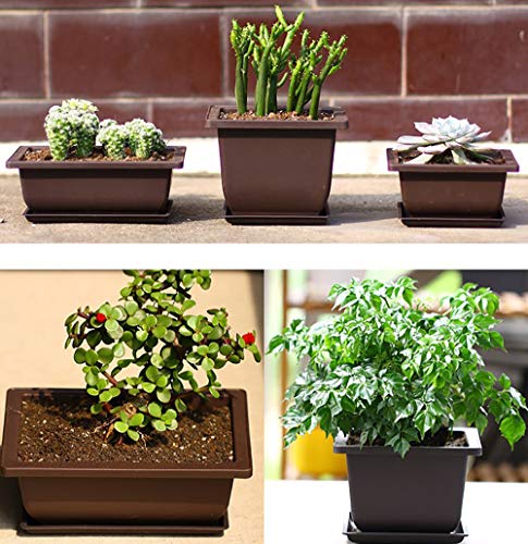 Yesland 6 Pack Bonsai Training Pots - 9 Inches Classic Deep Humidity Trays with Built in Mesh - Plastic Square Pot & Bonsai Plants Growing Pots