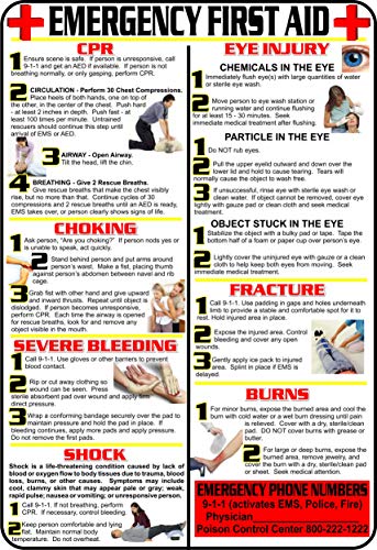 First Aid and Choking Poster, 11' x 17", Laminated, Includes CPR, Shock, Eye Injury, Fracture, Burns, Severe Bleeding & Choking