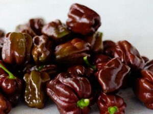 chocolate habanero hot pepper seeds- 20+ seeds by ohio heirloom seeds