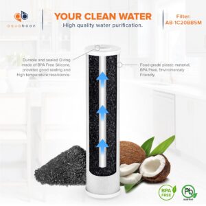 Aquaboon Whole House Water Filter Replacement Cartridge 20x4.5 inch 5 Micron - 2-PACK CTO Carbon Filter - Activated Carbon Block Filter Cartridge Compatible with EPM-20BB, CB-BB-20, 155783-43, FC25B