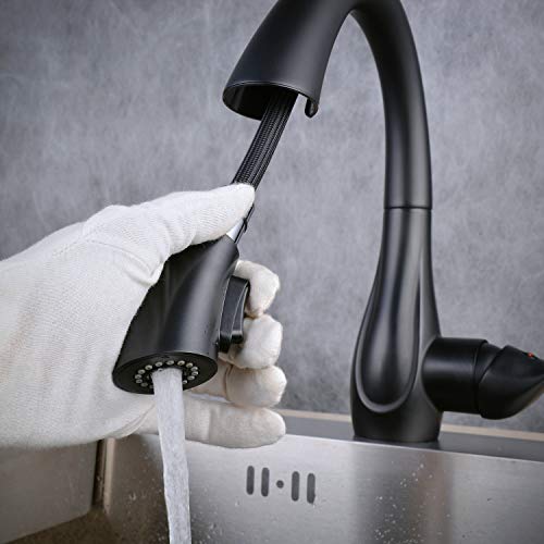 Beelee Kitchen Sink Faucets with 360 ° Rotation Pull Out Swivel Spout,Single Handle Mixer Kitchen Faucets with 2-Function Sprayer, Black,BLSS1749B