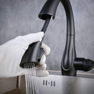 Beelee Kitchen Sink Faucets with 360 ° Rotation Pull Out Swivel Spout,Single Handle Mixer Kitchen Faucets with 2-Function Sprayer, Black,BLSS1749B