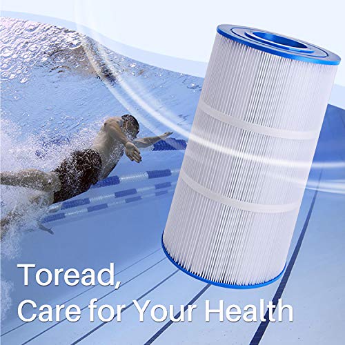 TOREAD Replacement for Pool Filter PA90, CX900RE, C900, Unicel C-8409, Filbur FC-1292, Posi-Clear Sta-Rite PXC95, Clearwater II ProClean 100, Aladdin 19002, 25230-0095S, 1 Pack