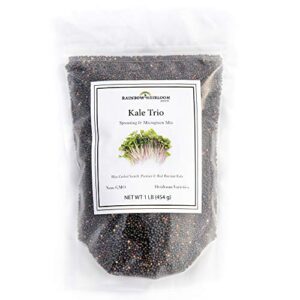 kale trio sprouting & microgreen mix | contains blue curled scotch, premier & red russian kale seeds | heirloom non-gmo seeds | bulk 1 lb resealable bag | rainbow heirloom seed co.