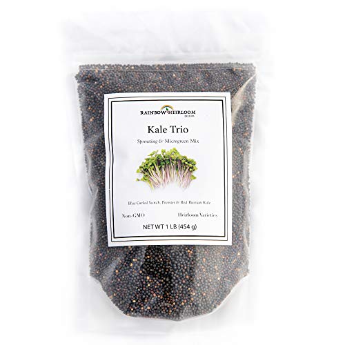 Kale Trio Sprouting & Microgreen Mix | Contains Blue Curled Scotch, Premier & Red Russian Kale Seeds | Heirloom Non-GMO Seeds | Bulk 1 LB Resealable Bag | Rainbow Heirloom Seed Co.