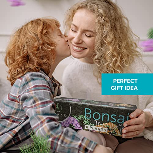 Bonsai Tree Seed Starter Kit - Complete Growing Kit - Grow 4 Bonsai Tree Live Indoor Plant from Seed - Adult Crafts - Grow Your Own Live Plant - Great DIY Kits for Adults - Crafts for Adults