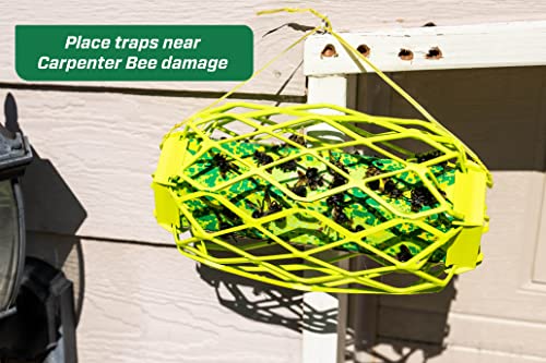 Rescue! Carpenter Bee TrapStik – Also Works on Wasps, Mud Daubers