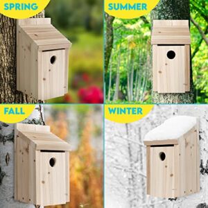 Wooden Bird House for Outside - Bluebird Birdhouse for Outdoors for Finch Cardinals, Hanging Bird Houses for Outdoors Clearance with Fledging Grooves, Secure Latch, Air Vents - Weatherproof Birdhouses