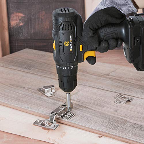 Cordless Drill, 20V Max Lithium-Ion Drill Driver Kit with 2 Variable Speeds, 41pcs Accessories, 16+1 Torque Setting, Built-in LED for Drilling Wood, Soft Metal, Plastic, C P CHANTPOWER
