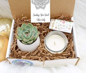 good vibes gift box - succulent gift box - live succulent gift box - friend gift box - good vibes only - birthday present - send a gift