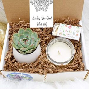 Good Vibes Gift Box - Succulent Gift Box - Live Succulent gift box - Friend Gift Box - Good Vibes Only - Birthday Present - Send a Gift