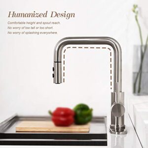 Kitchen Faucet with Pull Down Sprayer and Soap Dispenser Kitchen Sink Faucet with Soap Dispenser Single Lever Brushed Nickel Low Pull Out Faucets for Kitchen Sink with Soap Dispenser