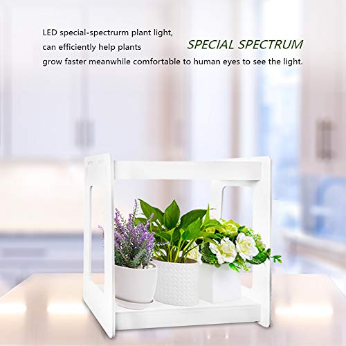 Indoor Herb Garden Light，Auto Smart Cycle Timer Funtion, Plant Grow Lamps Great Starter Unit for Growing herb/Plant Seeds，for Succulent, Rosemary, Vegetable, Basil(1 Layers)