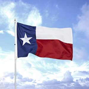 Texas Flag 4x6 Heavy Duty Outdoor - Embroidered Sewn Heavy Duty 100% Nylon Flags Vivid Color - Brass Grommets and 4 Stitch Hemming USA Flag